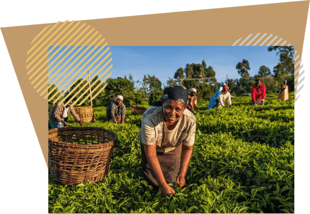 agric_page